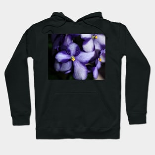 Violet & White Bi-colour African Violets Hoodie